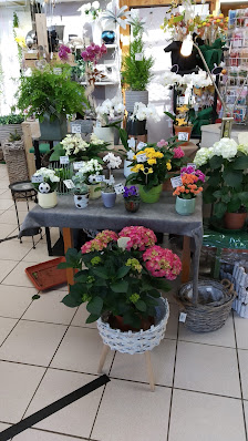 Westerwaldgärtnerei Blumen Rudolph