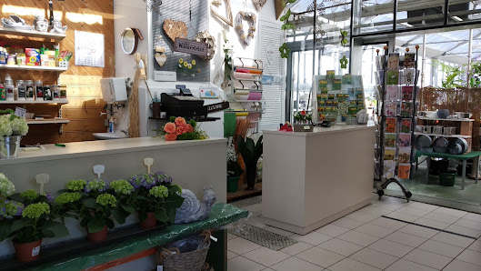 Westerwaldgärtnerei Blumen Rudolph