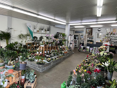Blumenhaus Schöneberg