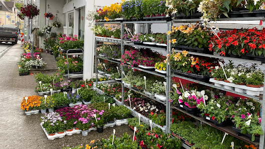 Blumenhaus Schöneberg