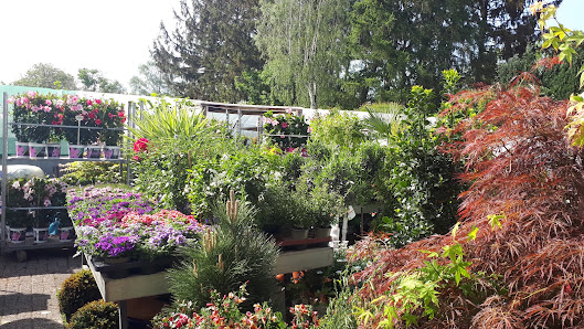 Blumenhof