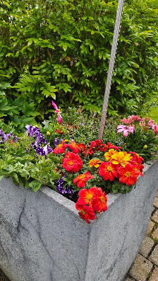 jansenflowers