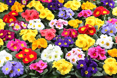 Blumengeschäft