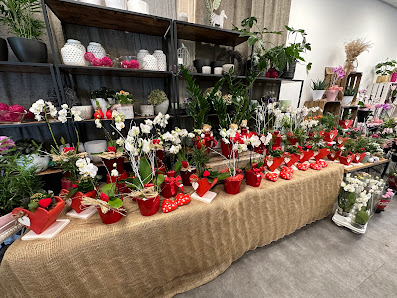 Asya‘s Blumen