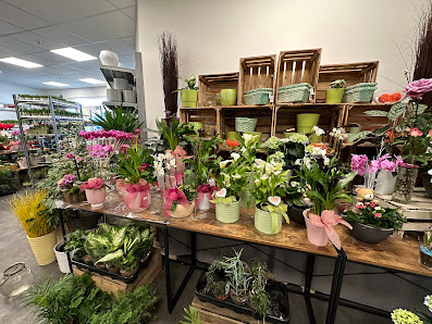 Asya‘s Blumen