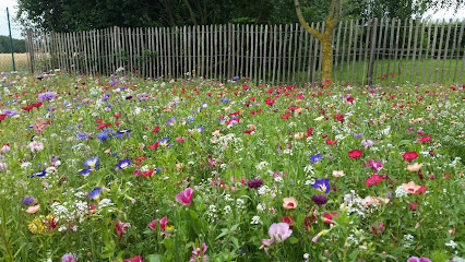 Esser Garten | Galabauer Meisterbetrieb in Eschweiler