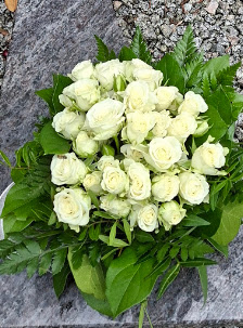 Blumen Lucassen