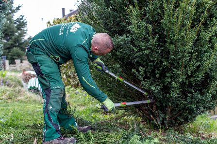 DB Haus- und Gartenservice Attendorn
