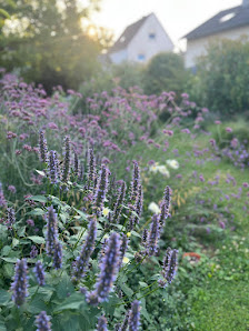 Garten- und Landschaftsbau Tobias Adams