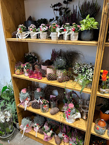 Blumen Kolvenbach