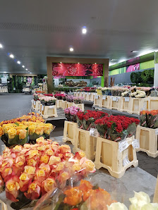 Landgard Cash & Carry Berlin-Buchholz