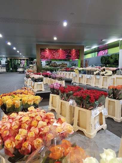 Landgard Cash & Carry Berlin-Buchholz