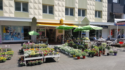 Blumen Risse Blumenladen Meschede