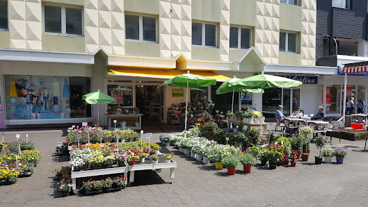 Blumen Risse Blumenladen Meschede
