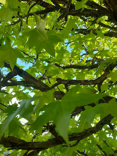Peter Stracke Garten