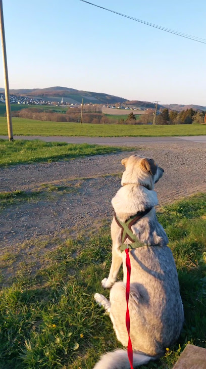 Landschaftsgestalter in Meschede