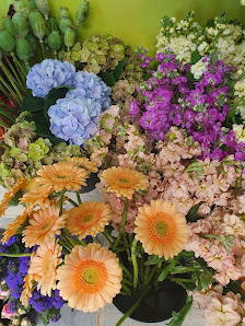 Blatt & Blüte