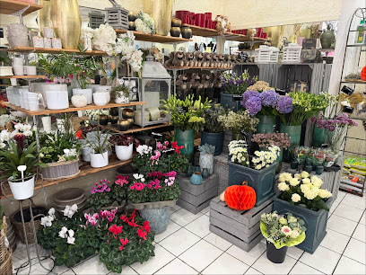 Flowers Nippes