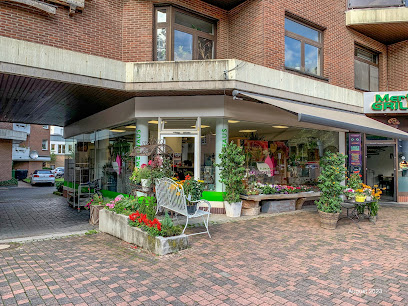 Blumenhaus Alpenveilchen