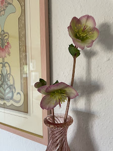 Blumen Rosinski