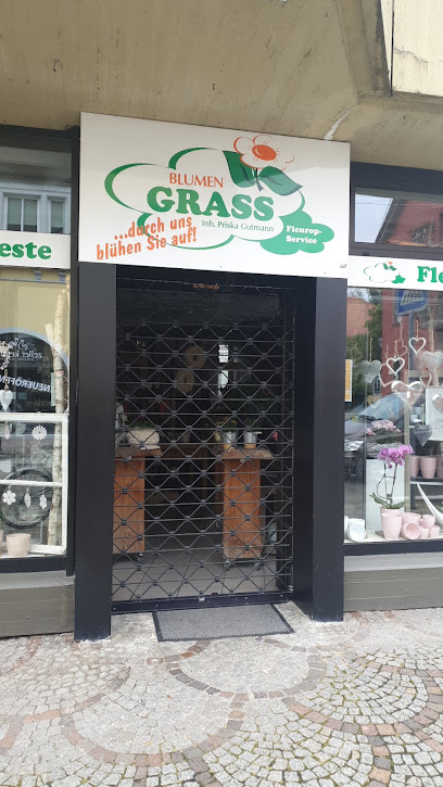 Blumen Grass