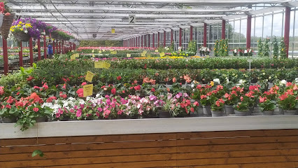 Blumen Müller