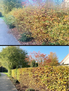 Gartenpflege & Hausmeisterservice Ladan Bad Schönborn