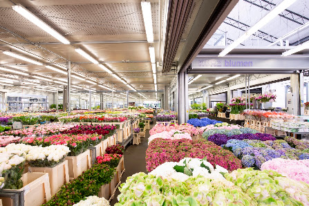 KURZ blumen Cash & Carry
