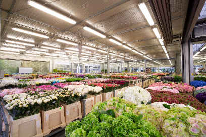 KURZ blumen Cash & Carry
