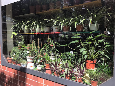 Blumenladen Pavillon