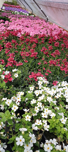 Ute Blumengeschäft Tränkle