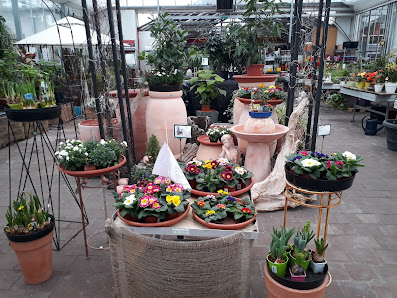 Blumen Güth Breisach