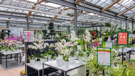 Dehner Garten-Center