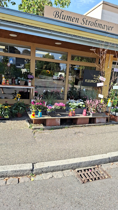 Blumen Strohmayer Margrit Strohmayer