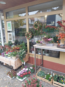 Blumen Strohmayer Margrit Strohmayer