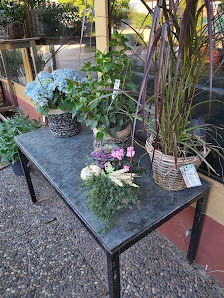 Blumen Strohmayer Margrit Strohmayer