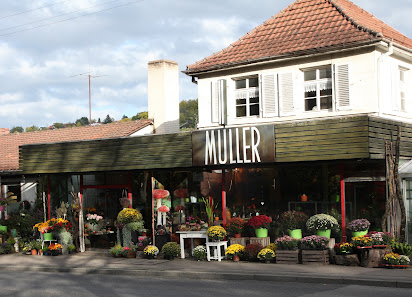 Blumen-Gärtnerei Müller