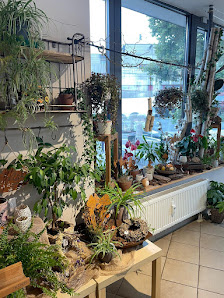 Kraut & Blüten (Fleurop Florist) Sylvia Bauknecht