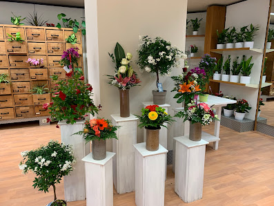 Blumen Melody