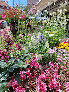 Blumen am Bubenbad