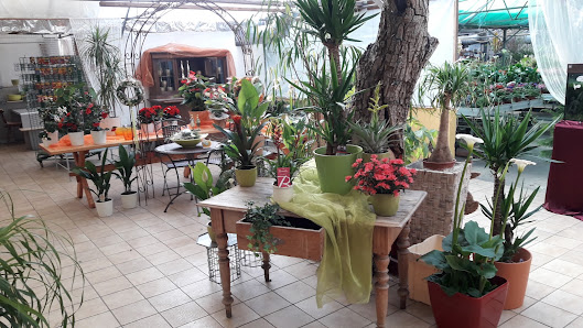 Blumen Lange oHG