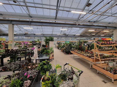 Dehner Garten-Center