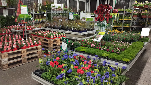 Dehner Garten-Center