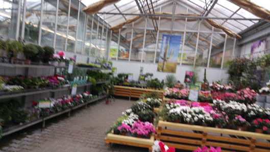 Dehner Garten-Center