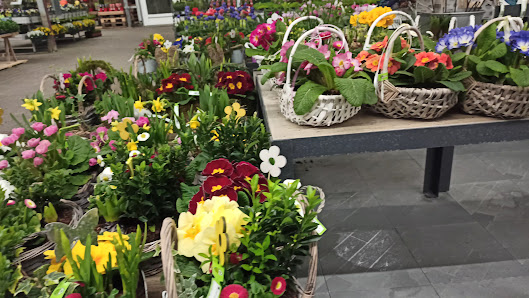 Dehner Garten-Center