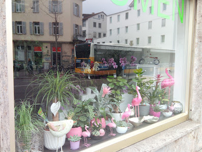 Blumen Ondracek