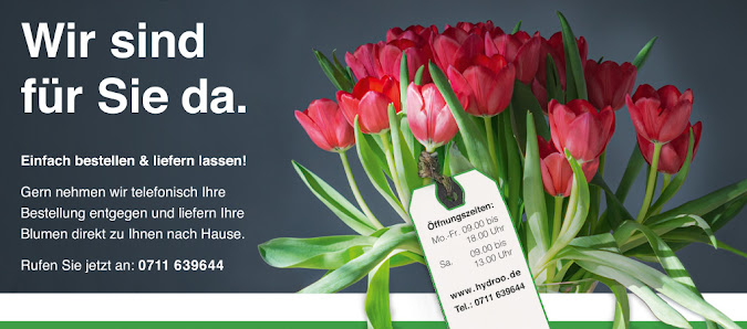 Blumen Ondracek