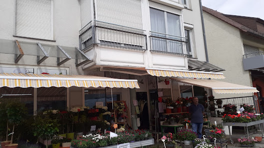 Blumen & Ambiente