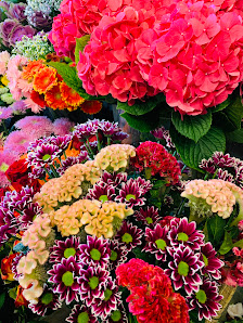 Blumenladen