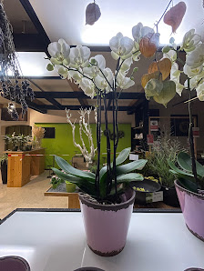 Blumen Siegle